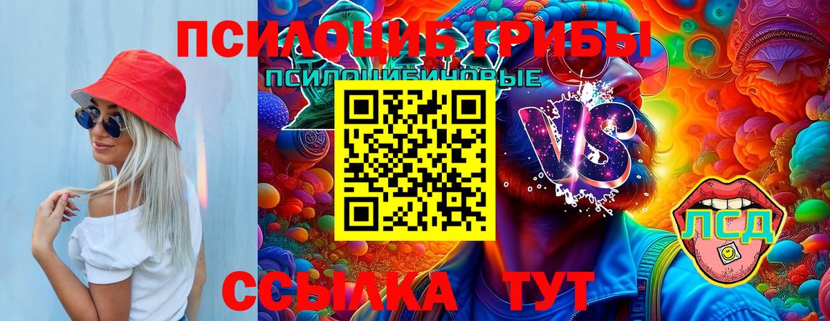 Галлюциногенные грибы Psilocybe Пыть-Ях