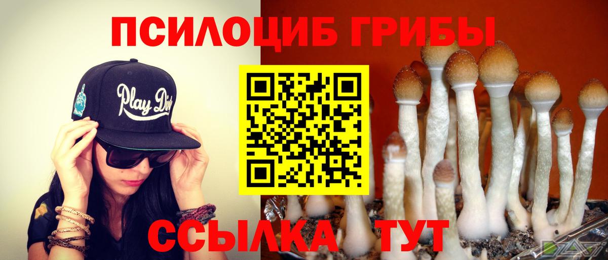 наркотики  Галлюциногенные грибы Cubensis  Вход с VPN  Пыть-Ях 